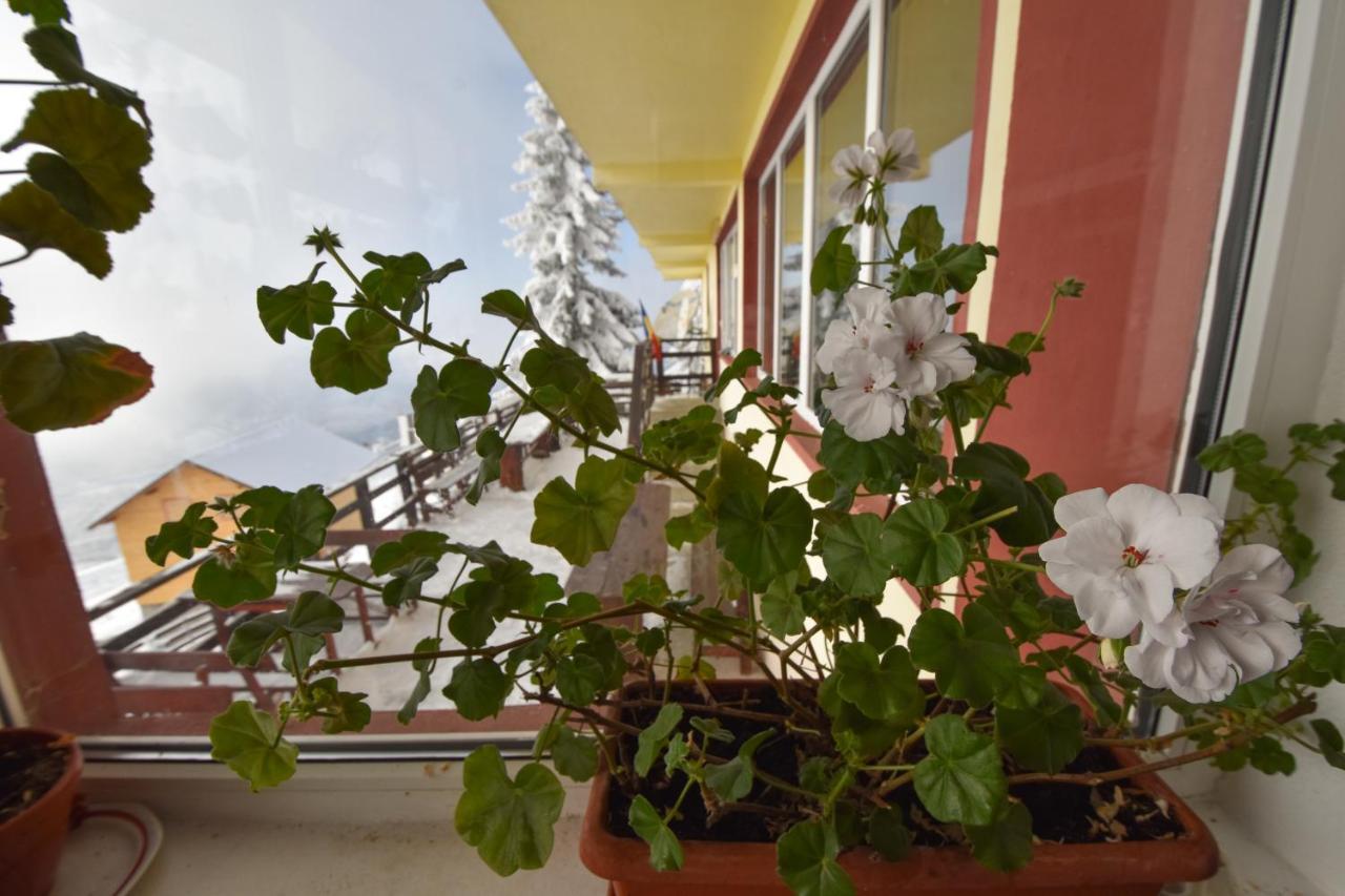 Vila Parang Petrosani Exterior photo